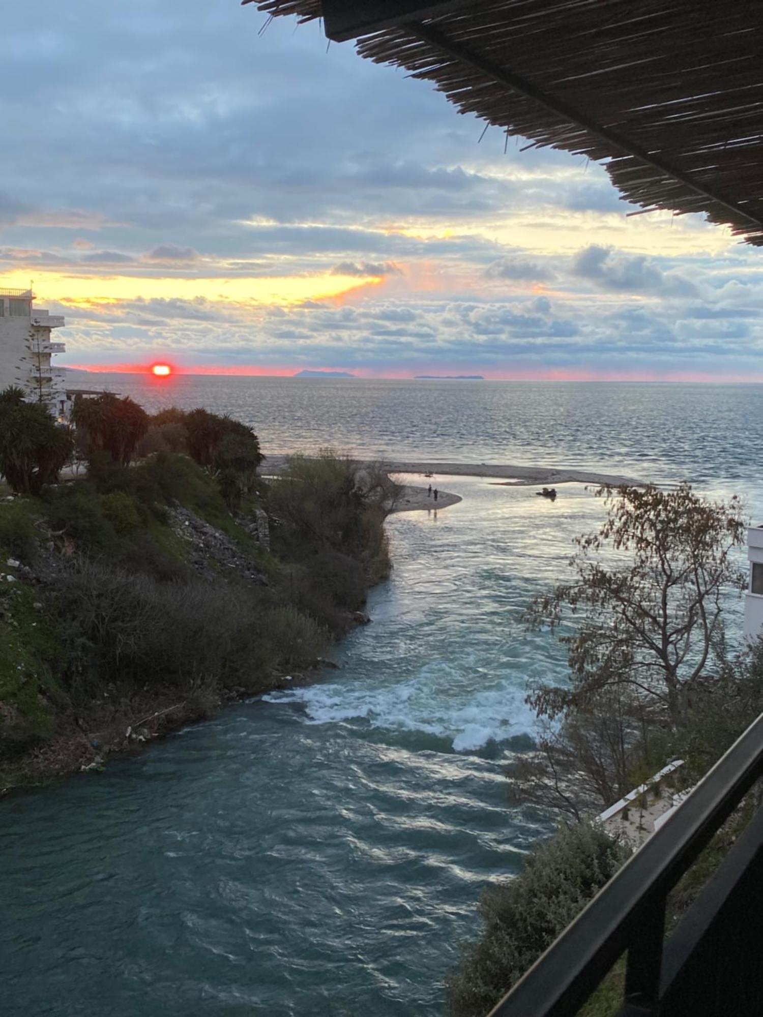 Serenity Sarande